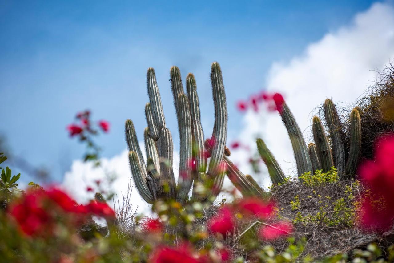 Le Soleil D'Or Hotel Cayman Brac Bagian luar foto