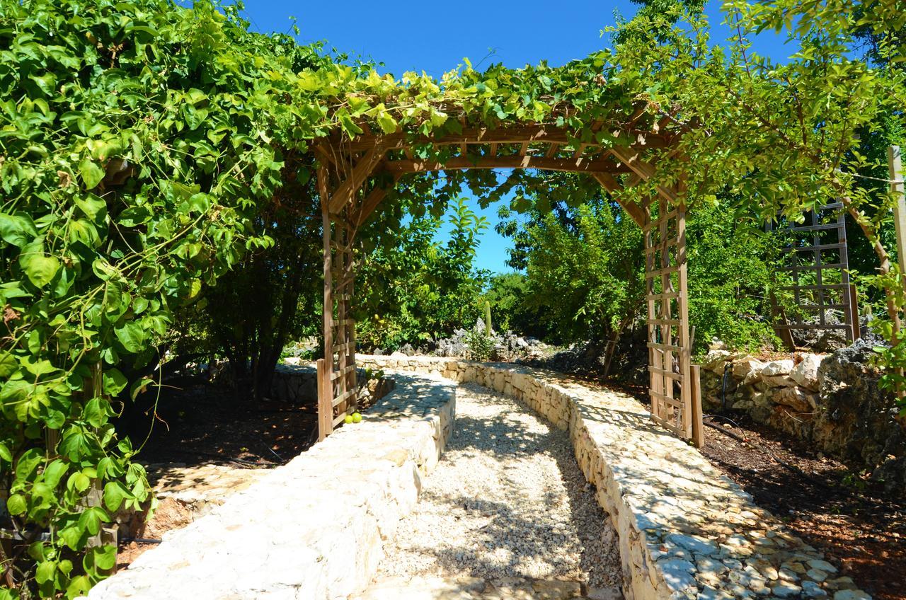 Le Soleil D'Or Hotel Cayman Brac Bagian luar foto